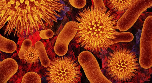 Устойчивые штаммы бактерий