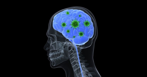 Токсины микобактерий в головном мозге