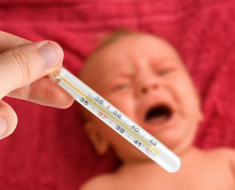 Как протекает прививка БЦЖ у новорожденных?