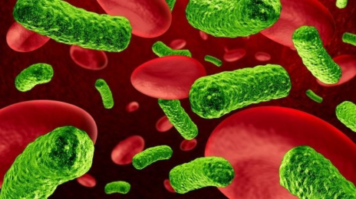 Микобактерии туберкулеза в крови человека